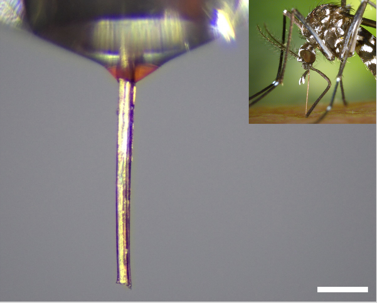 Рис. . С сайта https://www.science.org/doi/10.1126/sciadv.adw9953