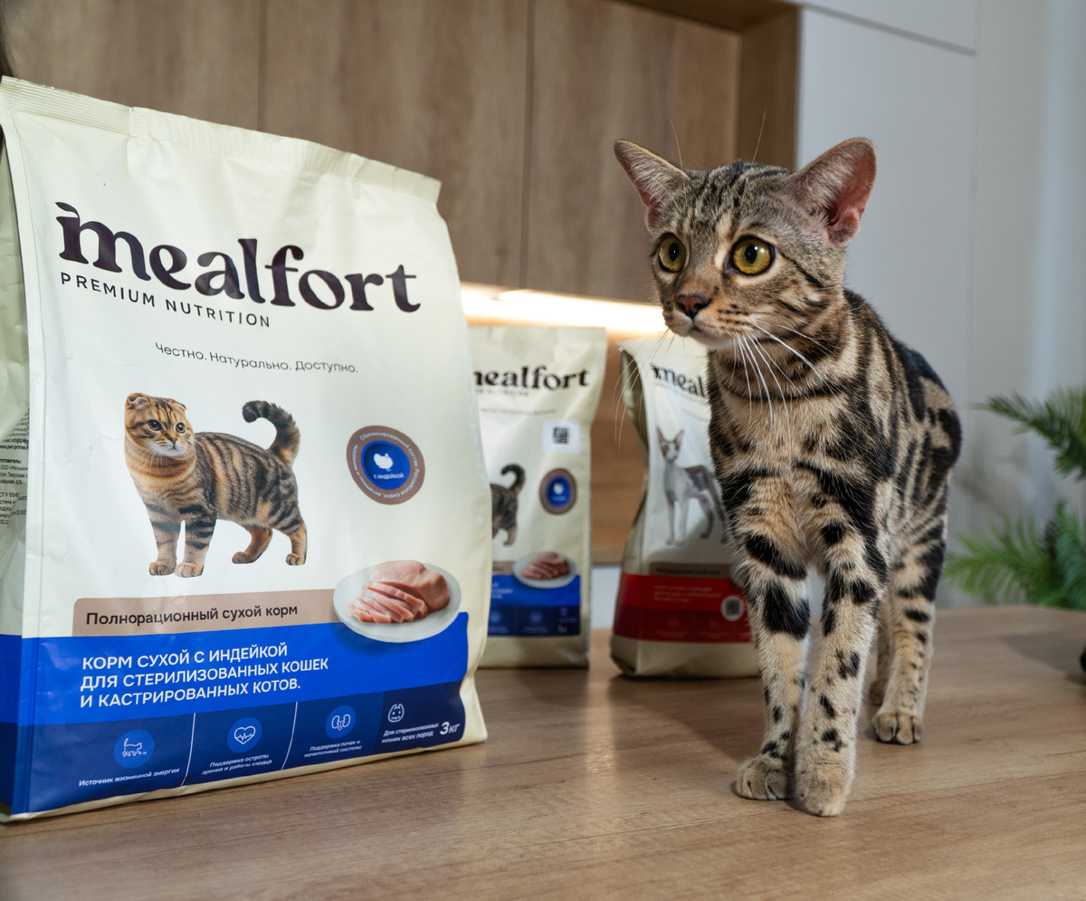 корм для стерелизованных кошек / фото mealfort
