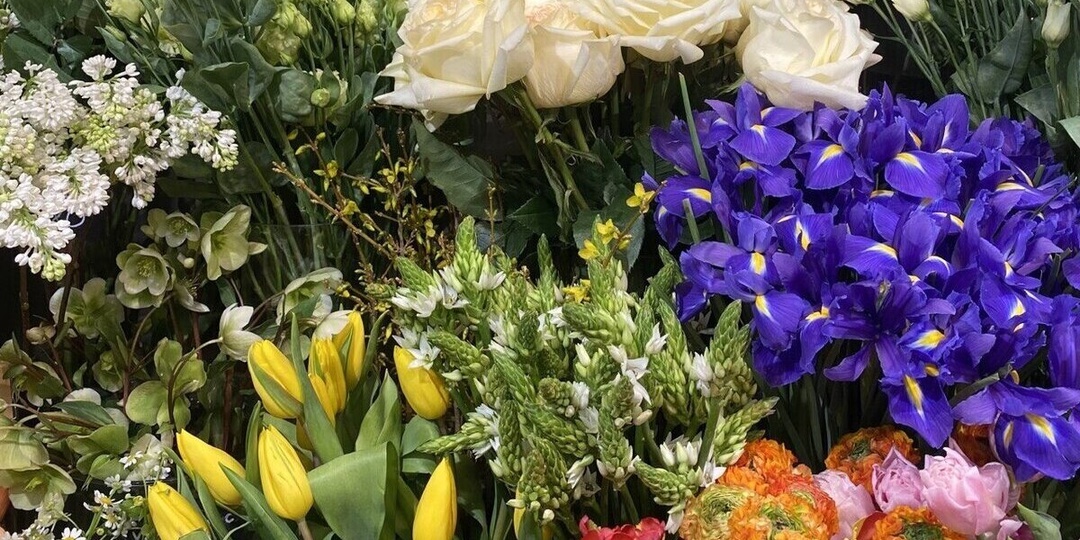 Партию зараженных цветов снова пытались ввезти из Литвы в Калининград