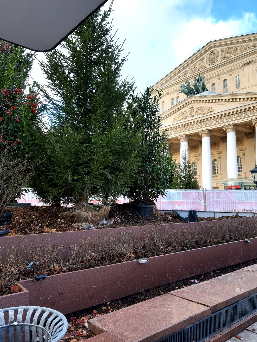   2026.   ...         .