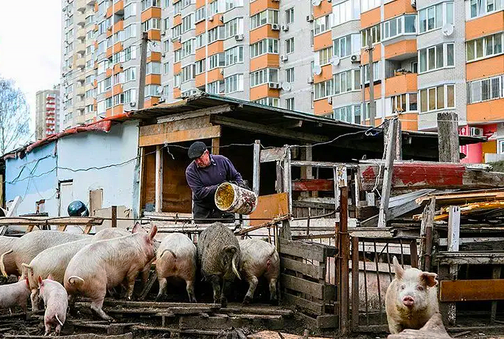 Это Киев и не коллаж.