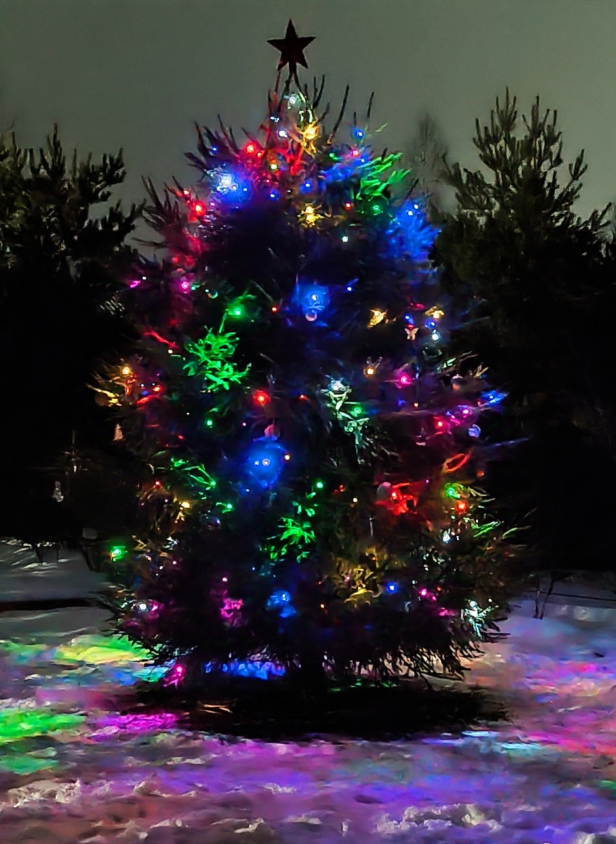 Фото из архива автора