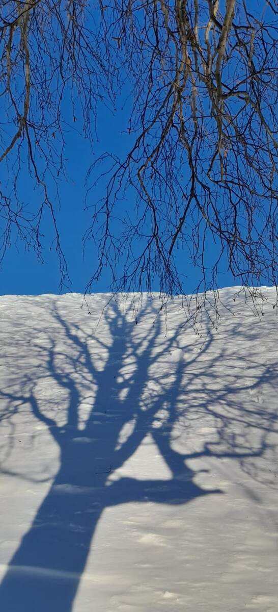 У нас ЗИМА)))