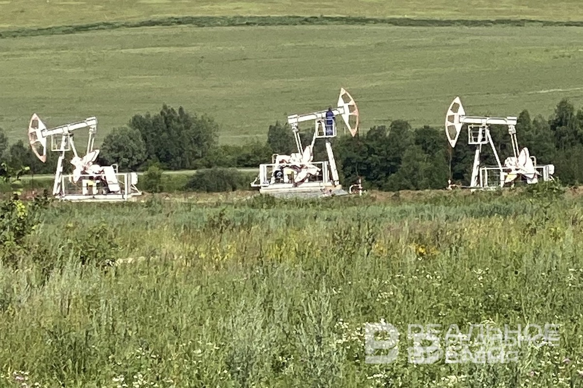   Реальное время / realnoevremya.ru