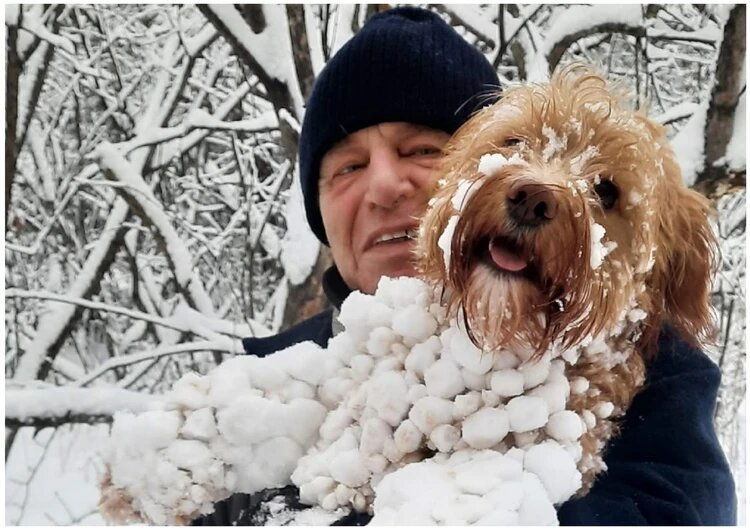 Пенсионер сделал «котоловку» и спасает бродячих животных