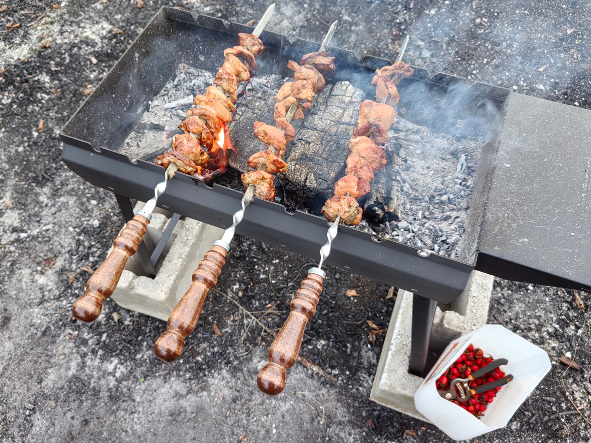 В углу притаилась коробочка с урожаем шиповника, который я собирал пока делался шашлык.