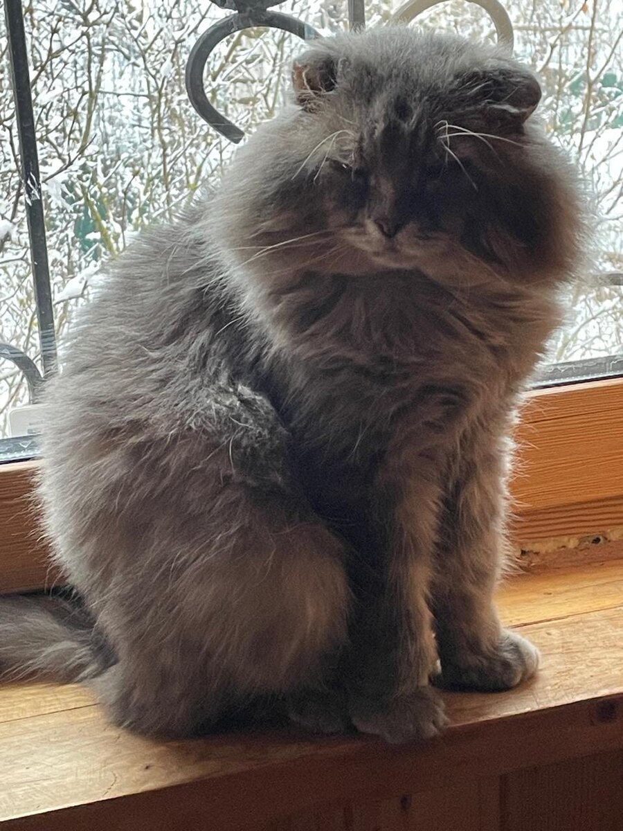 Живем хорошо, так вечно хозяева что-то придумают! Везде фото автора.