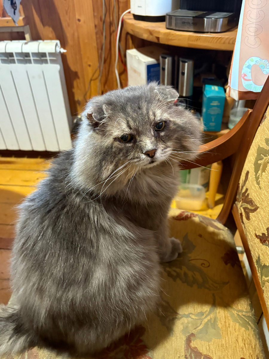 Фигвам вам, а не виза!