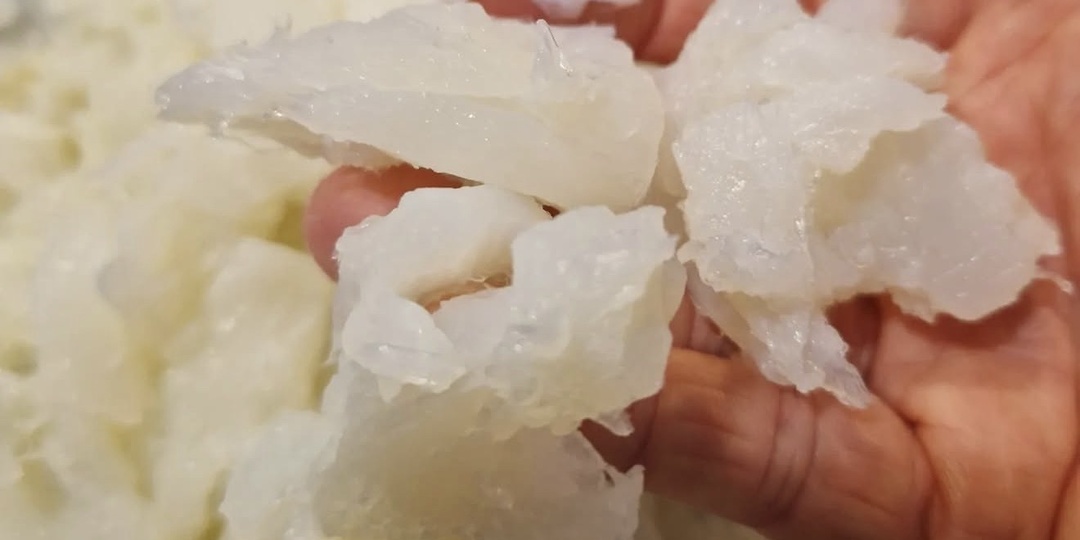 Рейтинг стратегий питания при онкологии: научный подход к рациону от ведущих экспертов