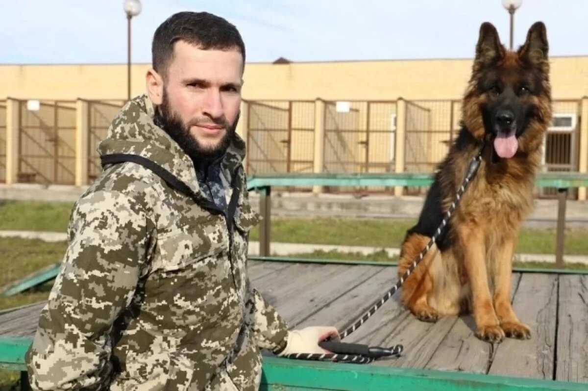    В Ингушетии овчарка Зенит помогла полицейским найти пропавшую школьницу