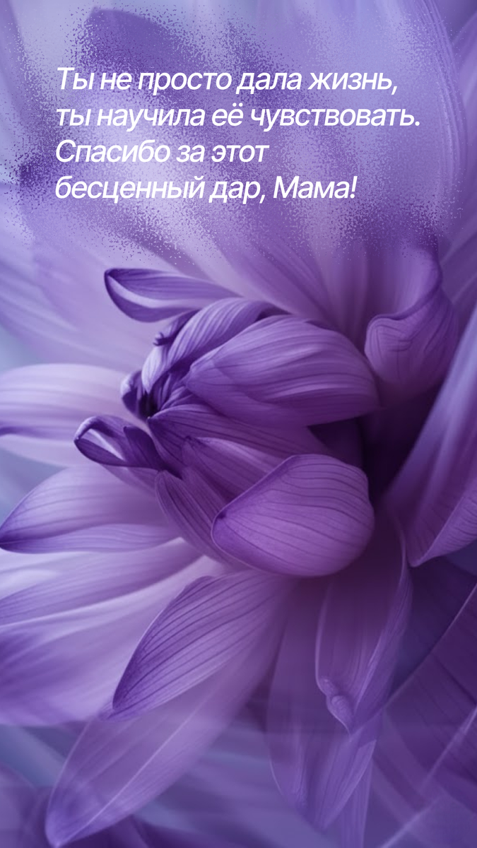 Открытка от мастерской "Дизайн-Кит" 2