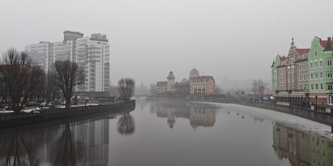 Из-за опасных бактерий в еде калининградский ресторан закрыли на месяц
