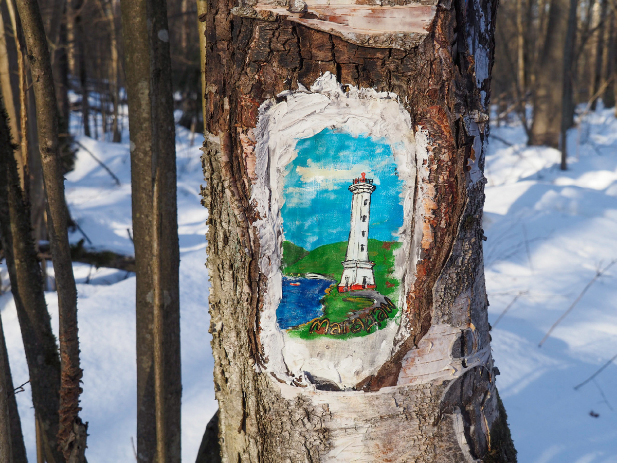 Фото Павел Каманин. Однодневный маршрут "По Хвойным лесам и берегу Пажи"