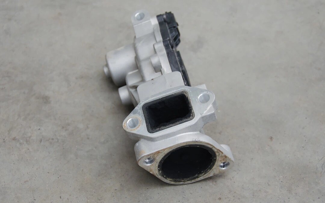 Фото: Shutterstock