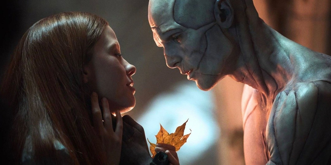 5 книг, которые многие понимают неправильно