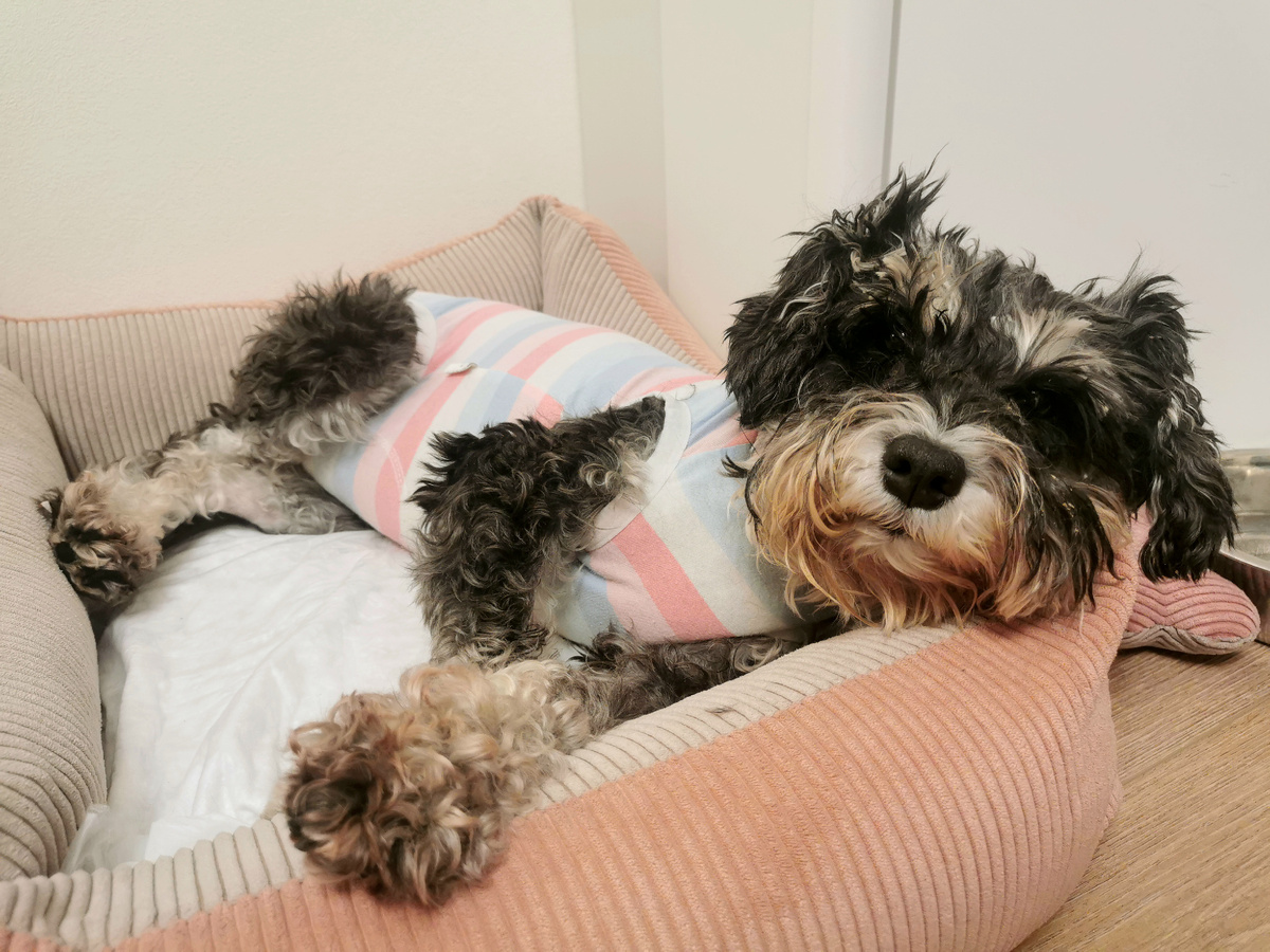 Здесь Джесс только вернулась домой после операции