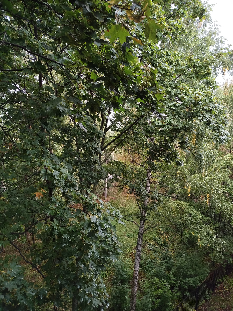 3 сентября 2025г.