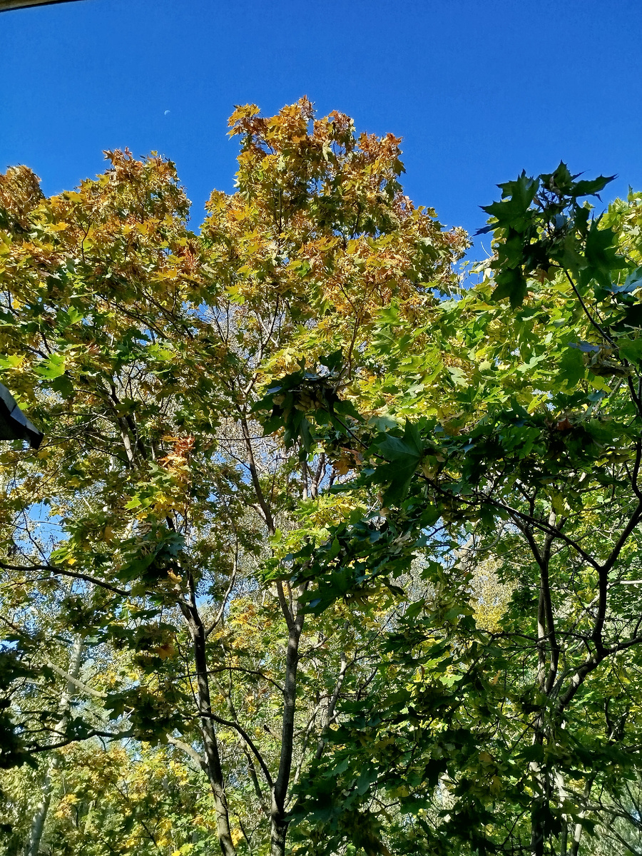 15 сентября 2025г.