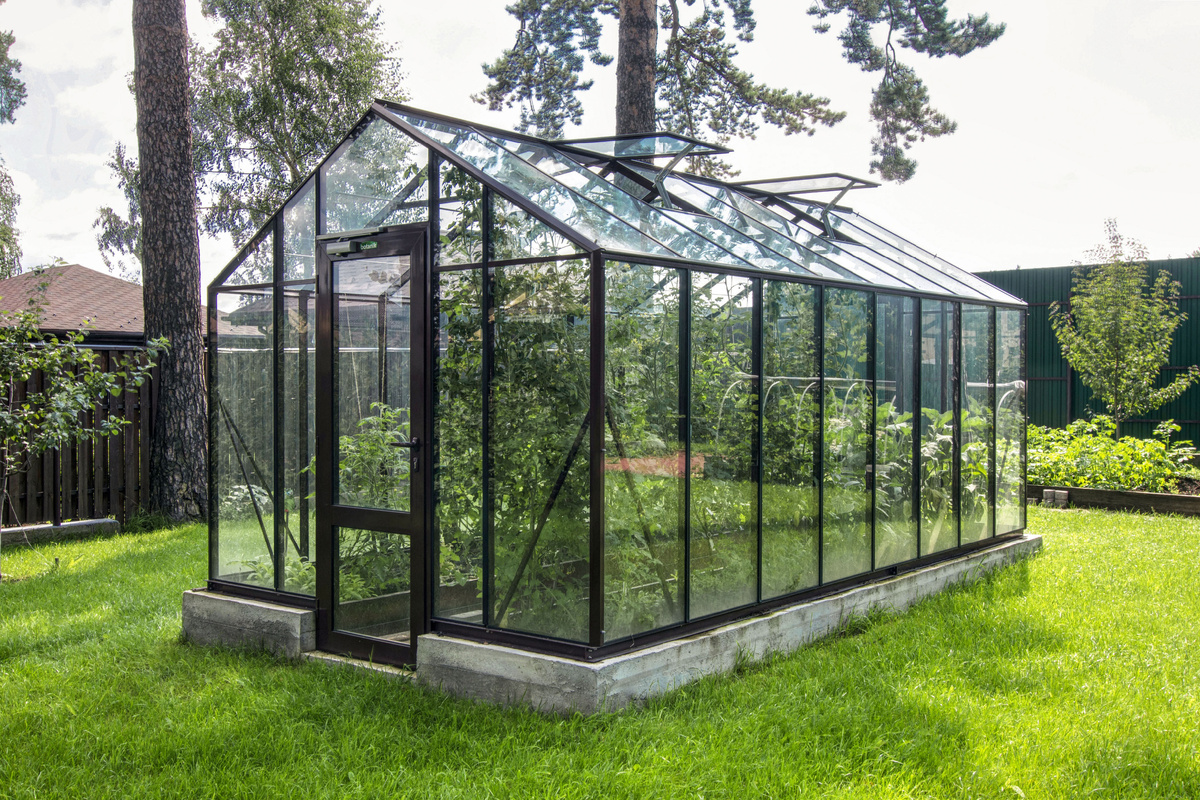 Теплица Botanik Standard