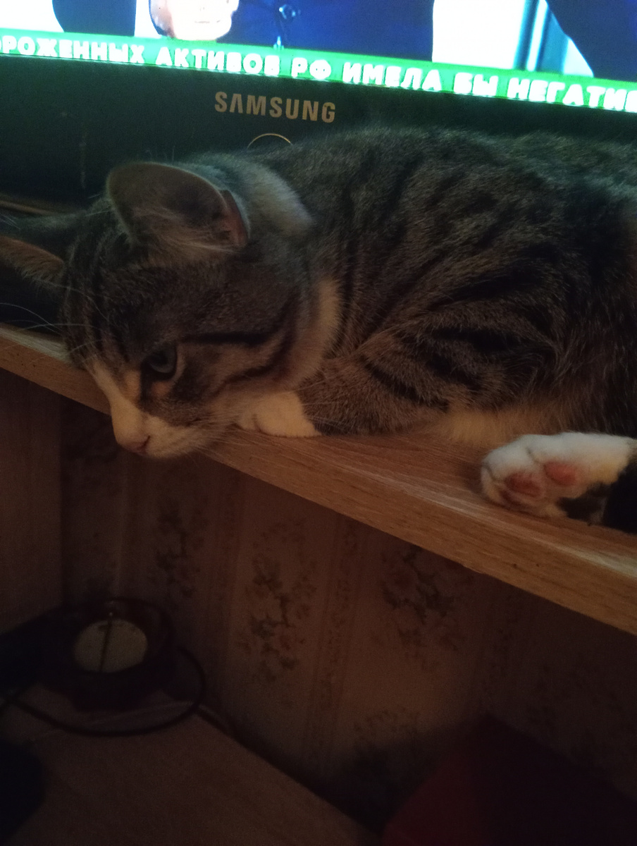 Вам хорошо видно? Не мешаю?