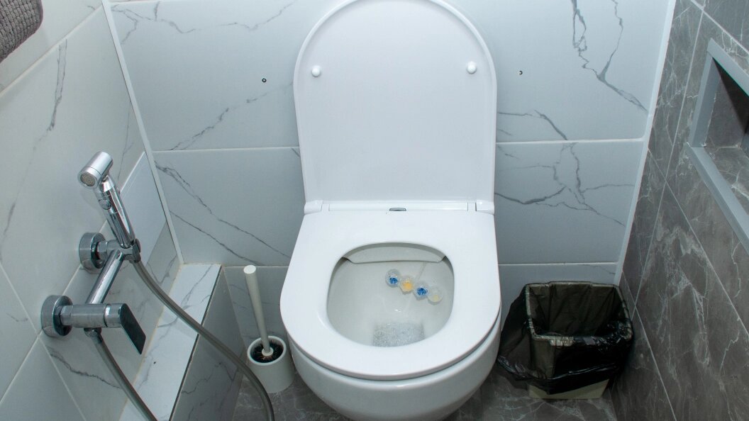    Svetlana Vozmilova/Globallookpress