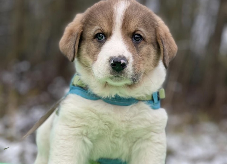 Ну какава красота! Хочу домой!