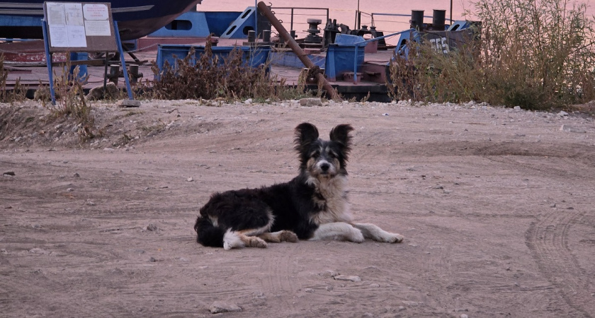    Фото Анастасии Дмитриевой