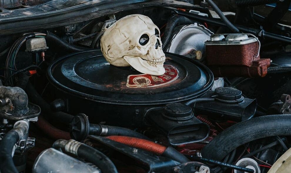 Фото взято с интернета 