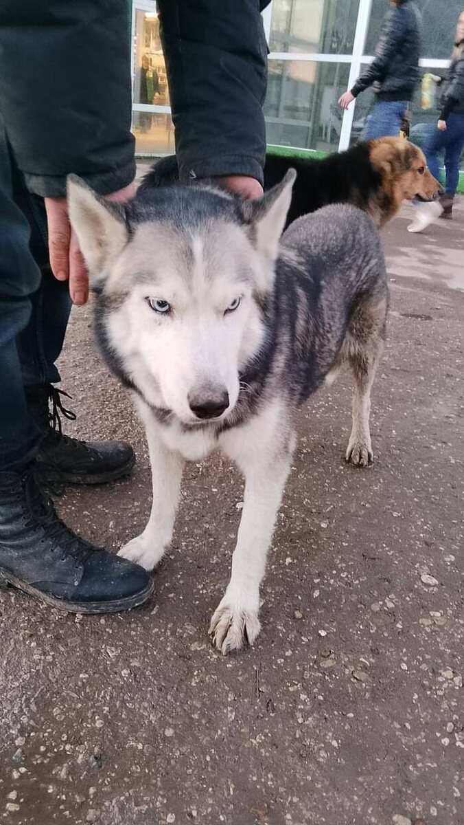 Листайте вправо, чтобы увидеть больше изображений