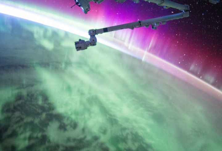 фото: pxhere.com