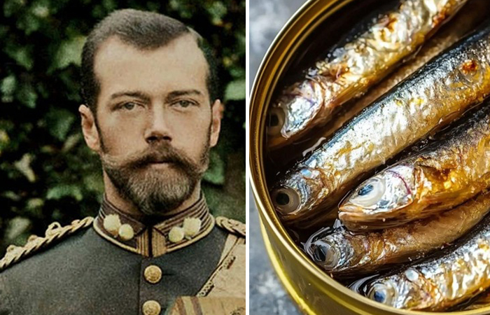 От корма для животных до гордости императора: как Николай II сделал кильку деликатесом