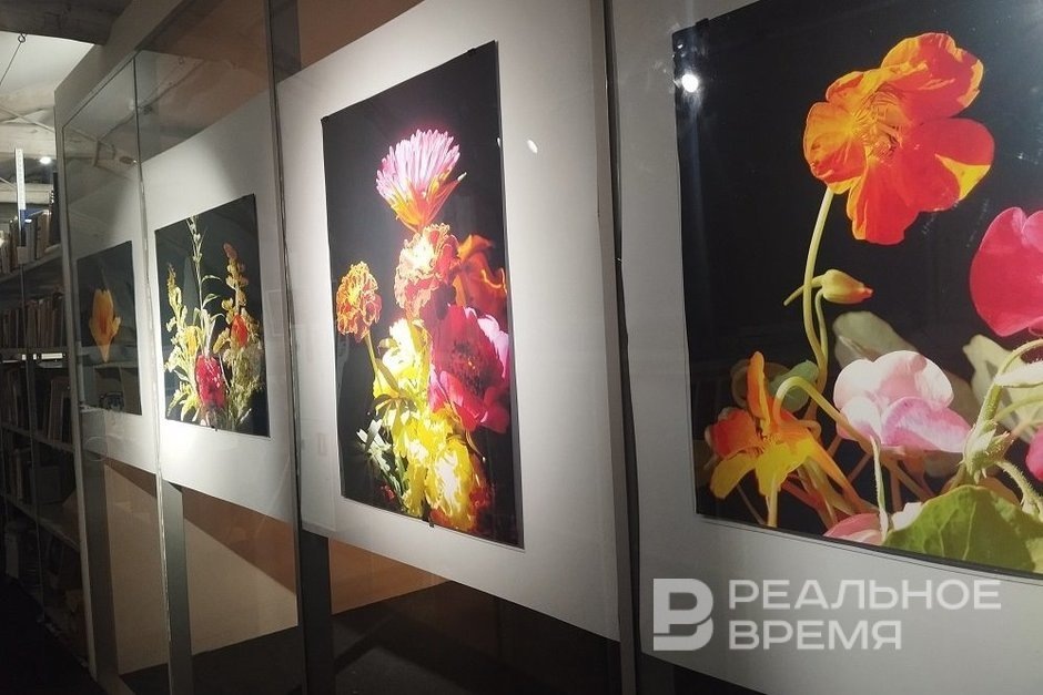    Фотографии Булата Галеева. Радиф Кашапов / realnoevremya.ru