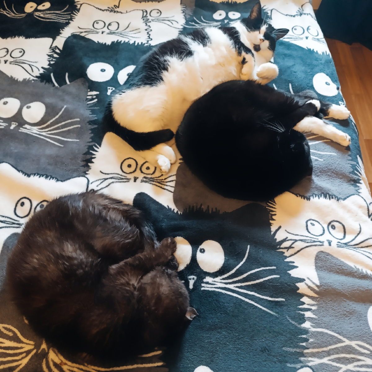 во-вторых – твои коллеги выглядят так