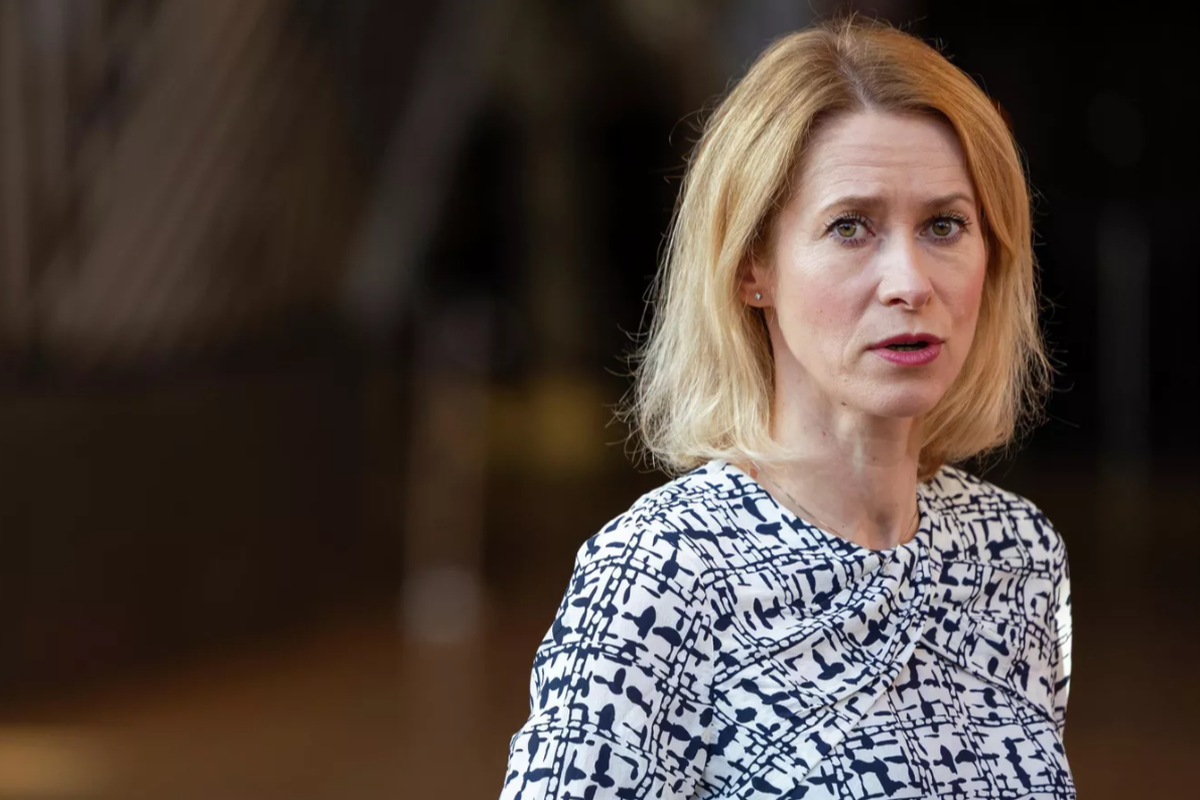    Фото: Geert Vanden Wijngaert, источник: ria.ru