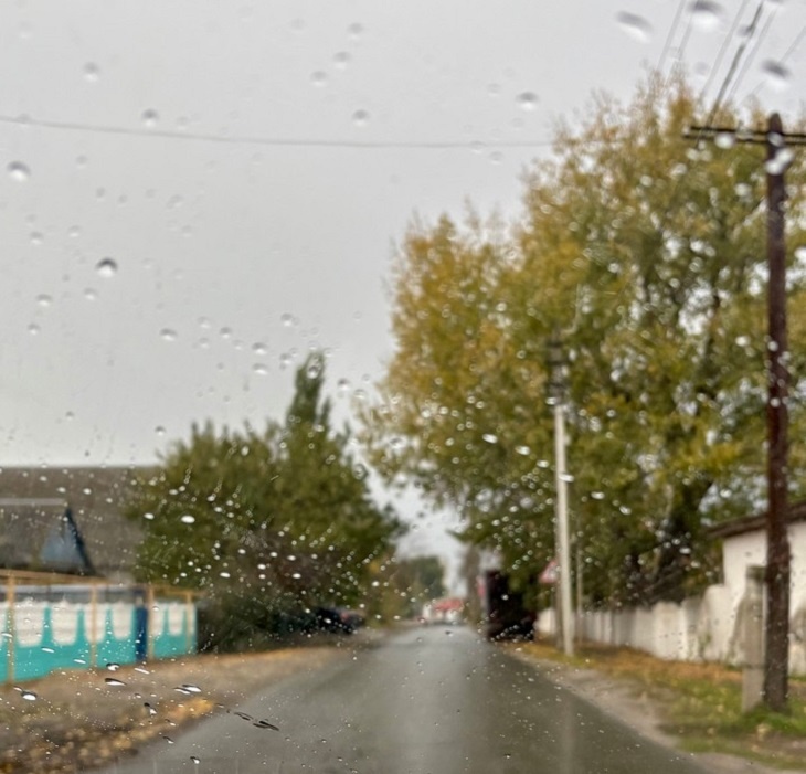    природа Алексеева Наталья