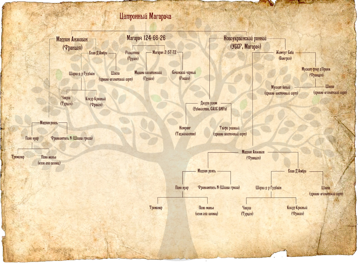 Для подробного изучения лучше открыть в новой вкладке и масштабировать для комфортного размера.