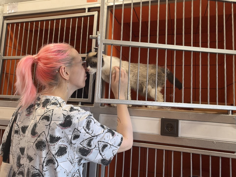    . Юлия АНДРИЕНКО