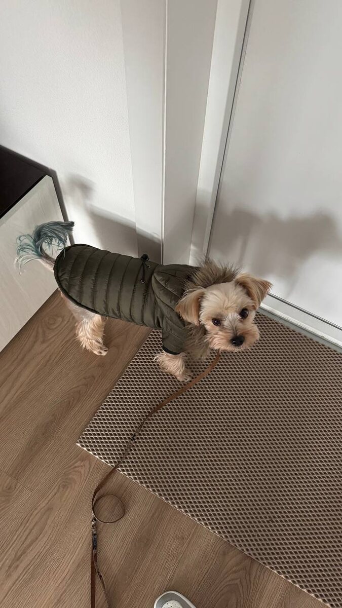 А это моё самое дорогое 