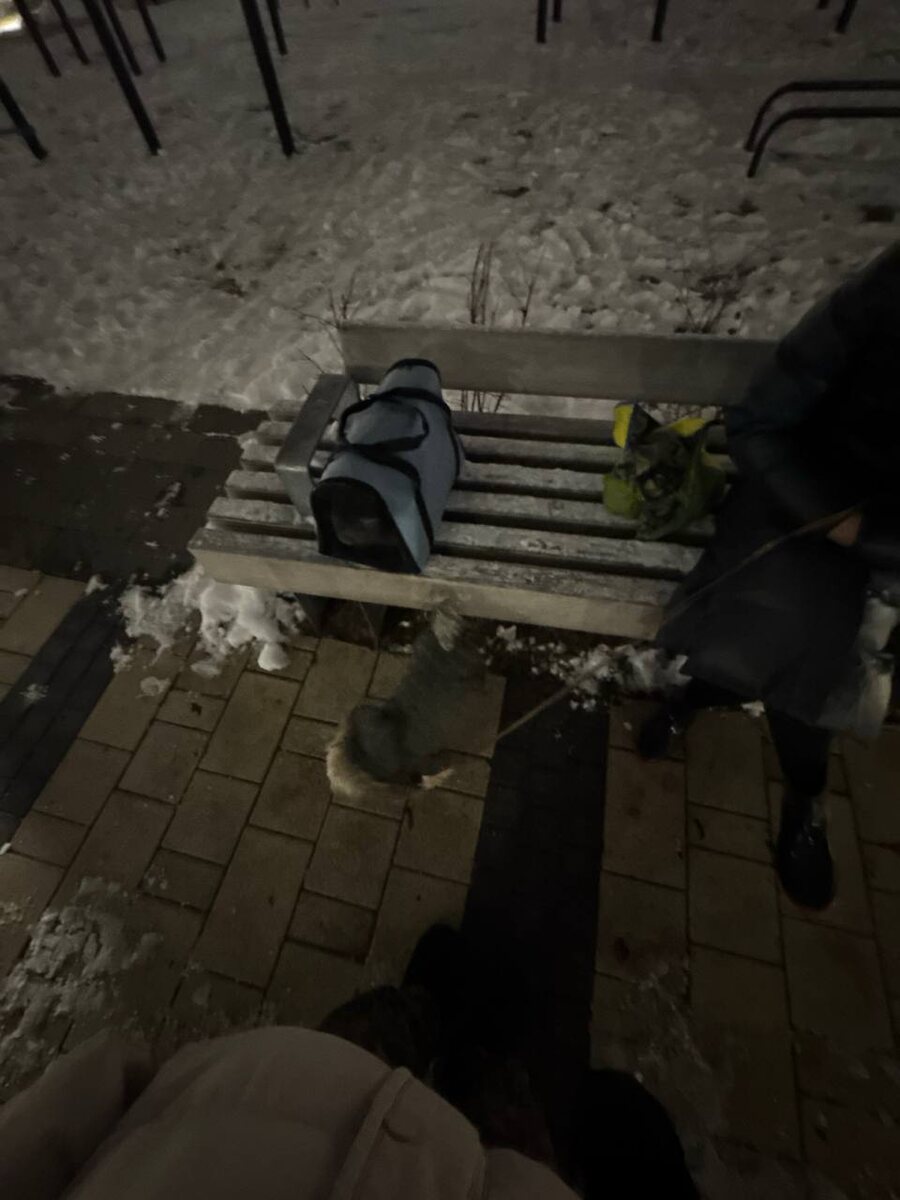 Ждём, когда пожарные закончат работу, и разрешат вернуться домой. Только сейчас я поняла, что успела одеть себя собаку, и у меня в руке оказался собачий комбинезон.. видимо схватила то что было в прихожей. 