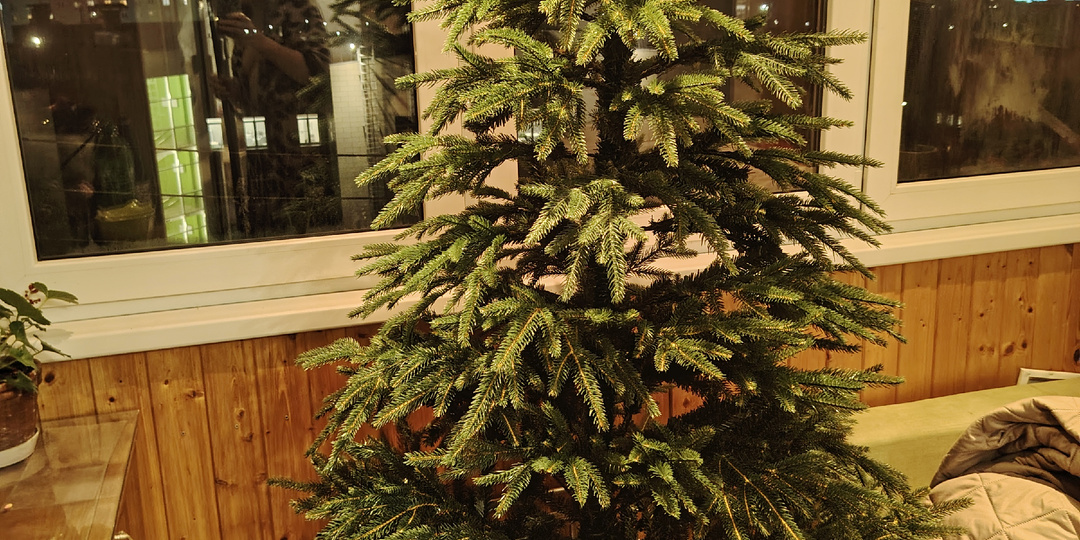 Купили новую Ёлку в магазине Ашан.