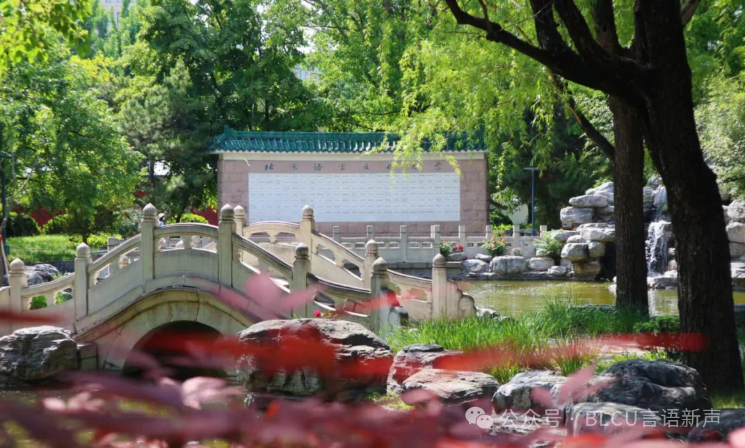 На территории BLCU. Источник: WeChat