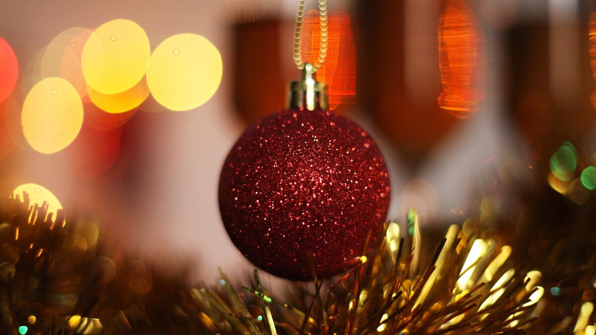 Фото: ИЗВЕСТИЯ/Юлия Майорова