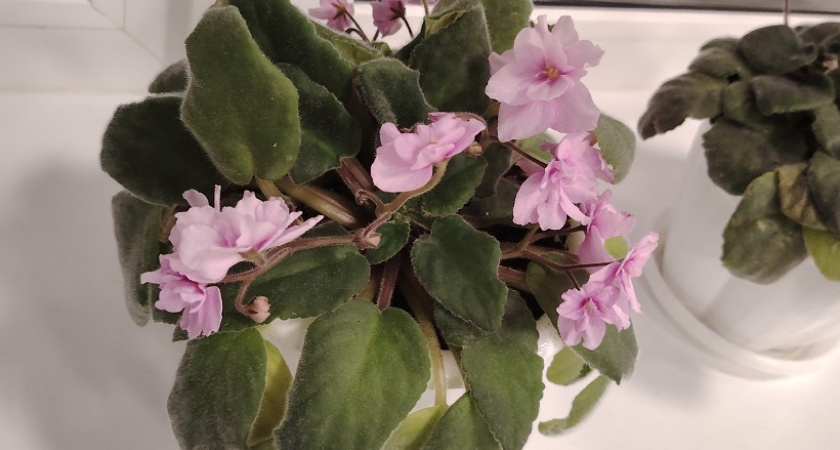    фото из архива редакции