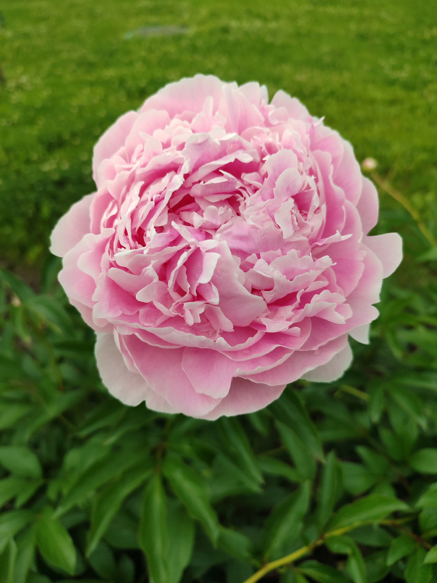 Фото для иллюстрации