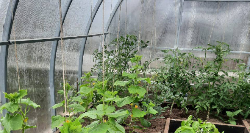    Фото из архива редакции