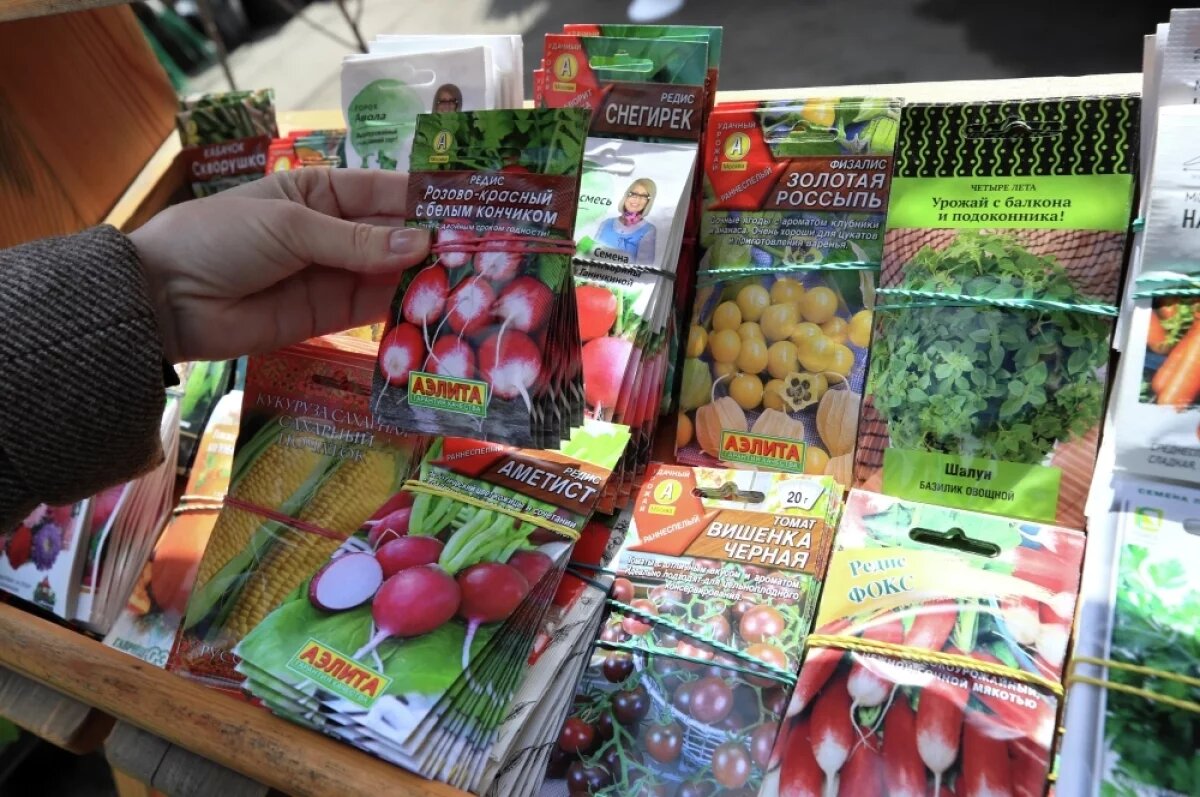    Лучшие семена — свежие. Особенно это касается культур, склонных к быстрой потере энергии прорастания