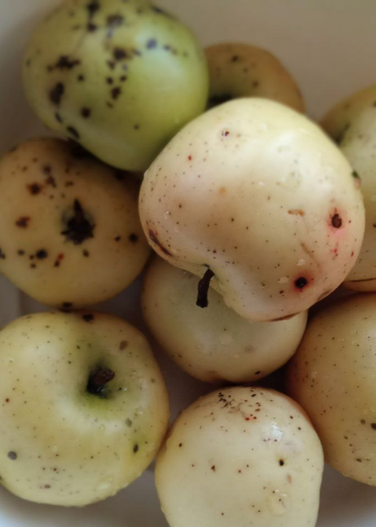 Последние яблоки отправились в пирог. 