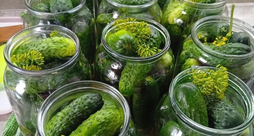    Фото irkutsk.news