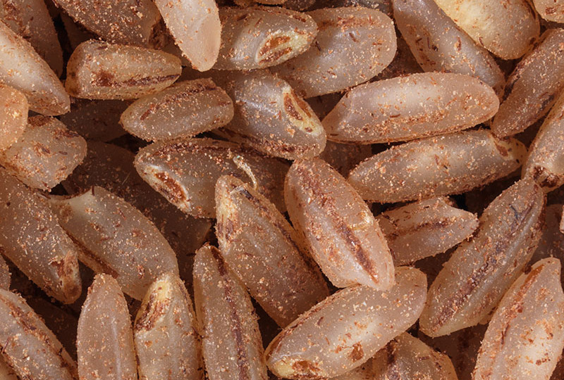 Как выбрать рис для отличного плова в ближайшем супермаркете