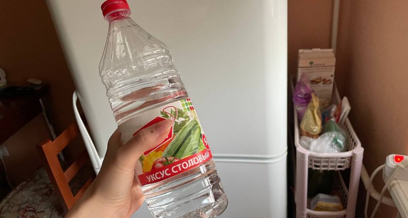    Автор фото - Анна Ефимова